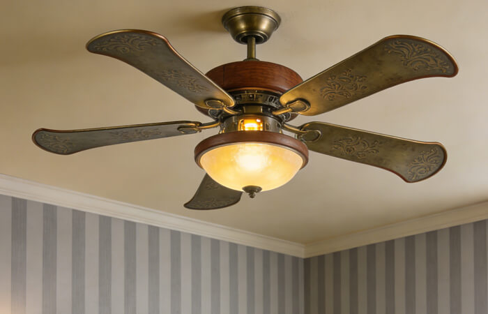 royal cords for fans