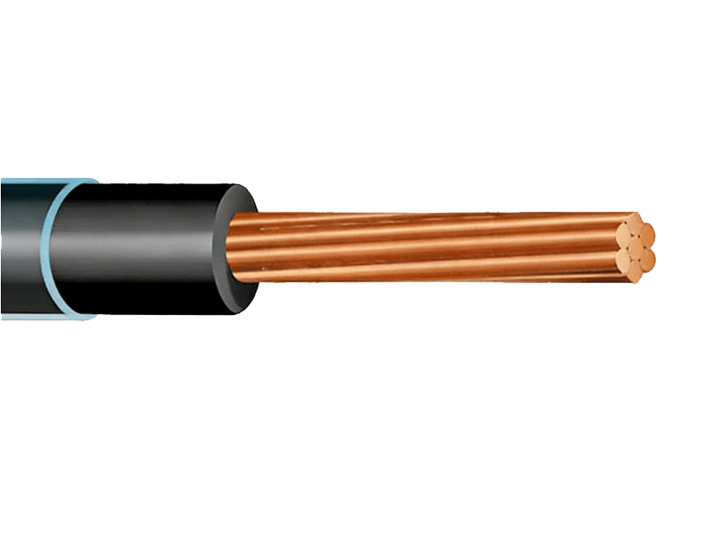 MSA Signal Cable
